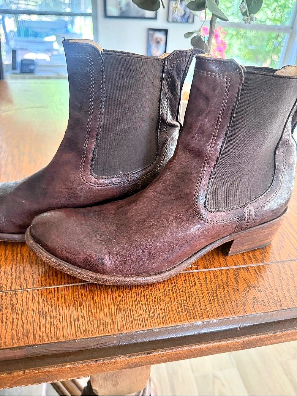 Frye Brown Leather Ankle Boots